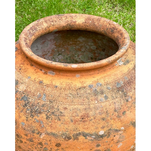 151 - GARDEN TERRACOTTA AMPHORA URN, weathered with all over impressed decoration, 65cm H x 46cm W.