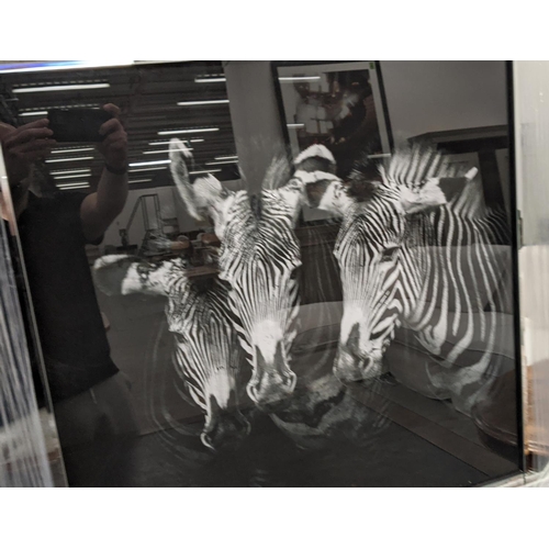 39 - 21ST CENTURY SCHOOL, 'Zebras', photoprint, 69cm x 69cm, framed.