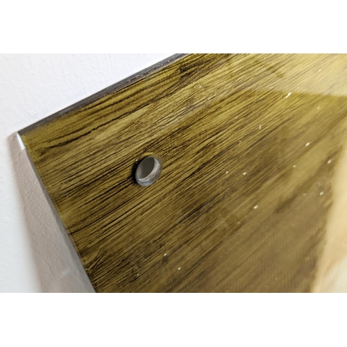 274 - PAINTED GLASS PANEL, marbled effect and reversible, 100cm x 150cm.