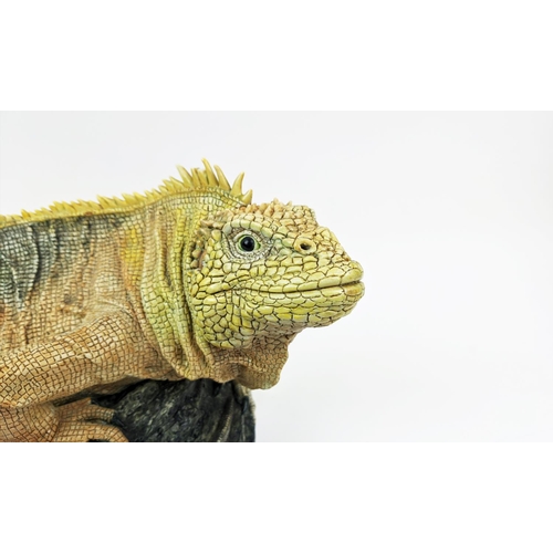 1 - JILL MOGER IGUANA CERAMIC SCULPTURE, signed and numbered 2/09, 45cm L x 25cm H.