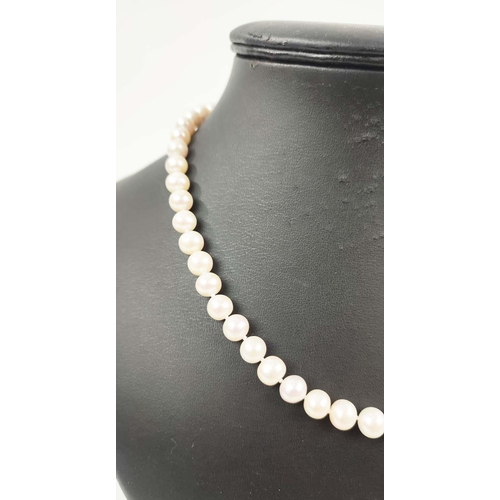 170 - A FRESHWATER PEARL SINGLE STRAND NECKLACE, with approximately 57 round white pearls of approximately... 