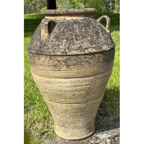 223 - GARDEN AMPHORA STYLE PLANTER, well weathered terracotta with loop handles and incised detail, 73cm H... 