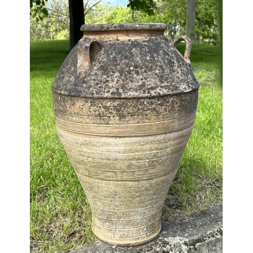 223 - GARDEN AMPHORA STYLE PLANTER, well weathered terracotta with loop handles and incised detail, 73cm H... 