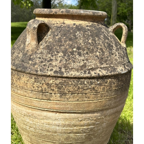 223 - GARDEN AMPHORA STYLE PLANTER, well weathered terracotta with loop handles and incised detail, 73cm H... 