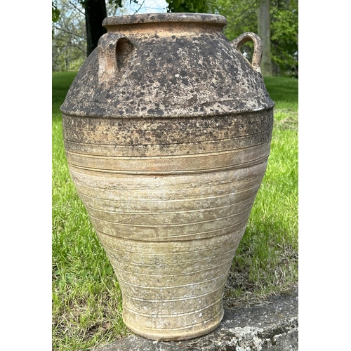 223 - GARDEN AMPHORA STYLE PLANTER, well weathered terracotta with loop handles and incised detail, 73cm H... 