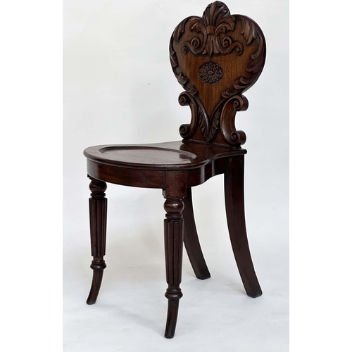 114 - HALL CHAIRS, a pair, Regency mahogany each with carved backs above oval recessed panel seats and out... 