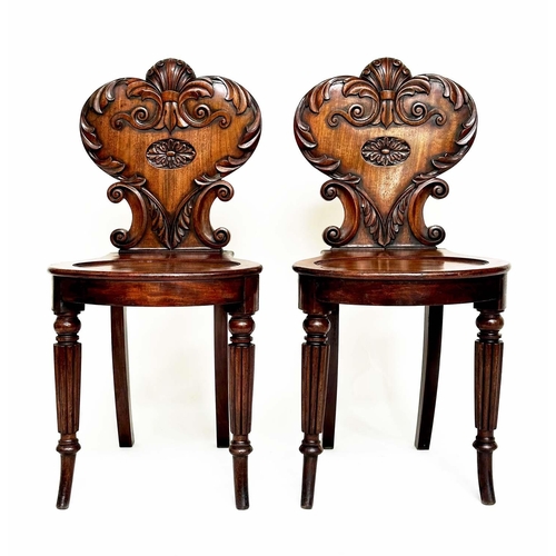 114 - HALL CHAIRS, a pair, Regency mahogany each with carved backs above oval recessed panel seats and out... 