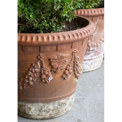 284 - BOX (BUXUS) TOPIARY, a pair in terracotta planters, tallest 135cm H, planters 50cm D. (2)