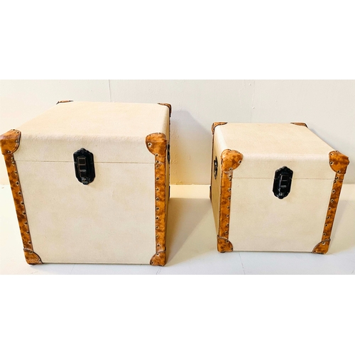 352 - TRUNKS, a graduated set of two, 48cm H x 48cm W x 48cm D. (2)