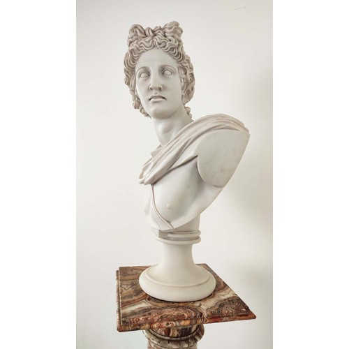 2 - MARBLE COLUMN, with Apollo bust, column in red and brown variegated marble, column 14cm H , but 53cm... 