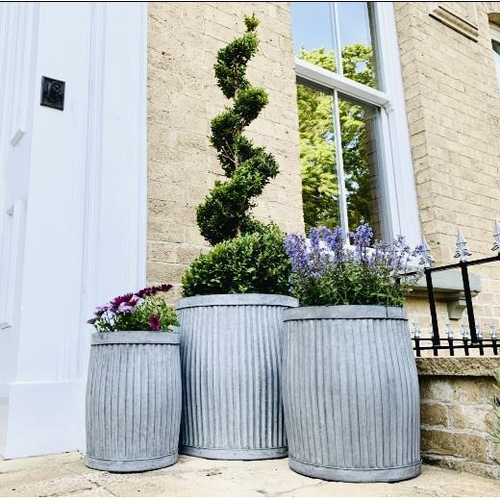 363 - DOLLY TUB PLANTERS, a graduated set of three, galvanized metal, Largest 50cm H x 45cm W (3)