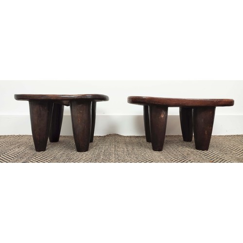 6 - SENUFO STOOLS, a pair, small proportions, 46cm L x 26cm W x 22cm H. (2)