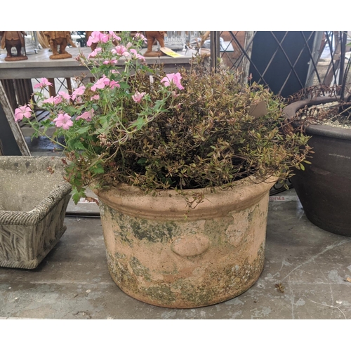 407 - TERRACOTTA PLANTER, with plant display, 76cm H approx in total.