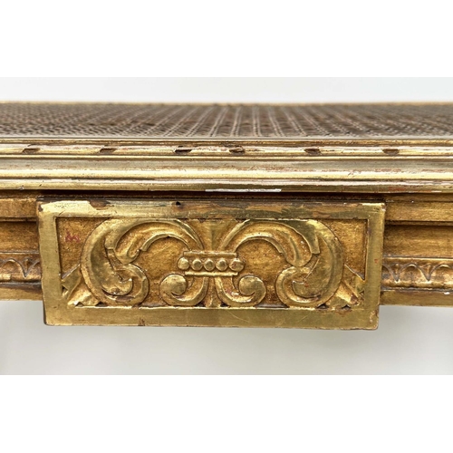 456 - WINDOW SEAT, late 19th century French Louis XVI style giltwood with cane seat and carved tapering su... 