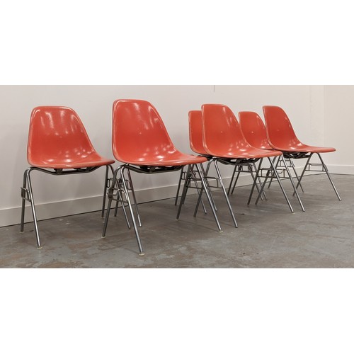 375 - HERMAN MILLER DSS CHAIRS, a set of eleven, by Charles and Ray Eames, vintage 20th century, 80.5cm H ... 