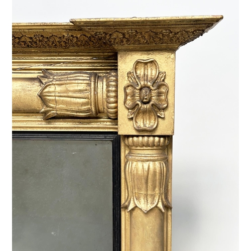 165 - OVERMANTEL MIRROR, early 19th century English William IV giltwood and gesso moulded with ebonised sl... 