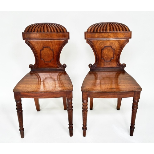 196 - HALL CHAIRS, a pair, Regency mahogany with arched and scrolled backs, panel seats and turned support... 