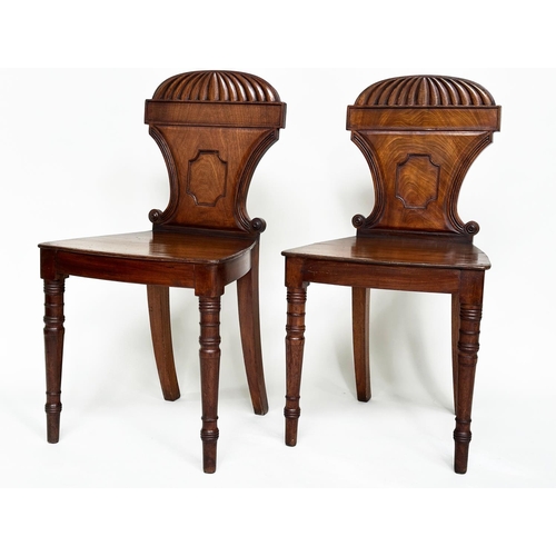 196 - HALL CHAIRS, a pair, Regency mahogany with arched and scrolled backs, panel seats and turned support... 