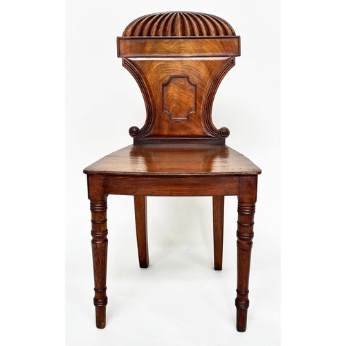 196 - HALL CHAIRS, a pair, Regency mahogany with arched and scrolled backs, panel seats and turned support... 