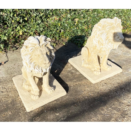 431 - SCULPTURAL LIONS, a pair, composite stone, 70cm H x 42cm W x 65cm D (2)