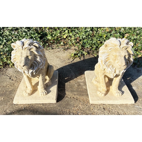 431 - SCULPTURAL LIONS, a pair, composite stone, 70cm H x 42cm W x 65cm D (2)