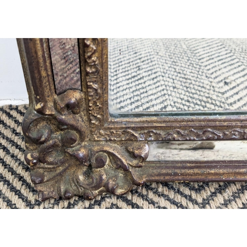 170 - WALL MIRROR, Continental style gilt framed with marginal plates, 126cm H x 67cm.