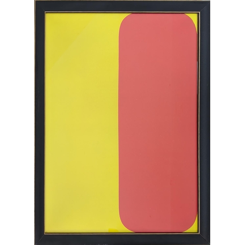 28 - ELLWORTH KELLY, Abstracts, lithograph, 37cm x 27cm, framed and one other.