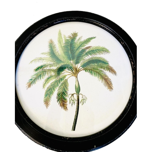 349 - CONTEMPORARY SCHOOL BOTANICAL PRINTS, a set of eight, in circular black frames, 35cm W. (8)