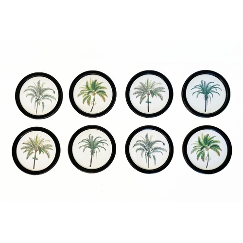 349 - CONTEMPORARY SCHOOL BOTANICAL PRINTS, a set of eight, in circular black frames, 35cm W. (8)