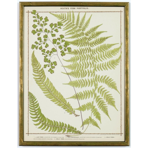 55 - FRANCIS GEORGE HEATH, a set of nine life size ferns rare chromolithographs, Italian verdigris frames... 