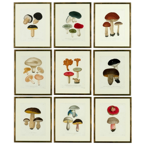 58 - JOSEPH ROQUES, Mushrooms, a set of 9 engravings with hand colouring, 1864 Victor Masson et Fils 31 x... 