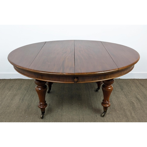 141 - DINING TABLE, Victorian mahogany with oval top and two extra leaves on brass castors, 74cm H x 136cm... 