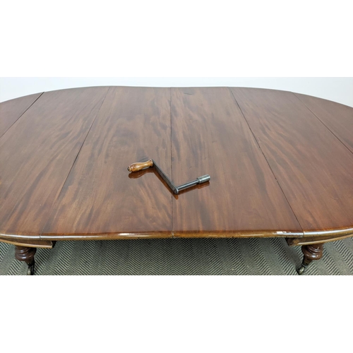 141 - DINING TABLE, Victorian mahogany with oval top and two extra leaves on brass castors, 74cm H x 136cm... 