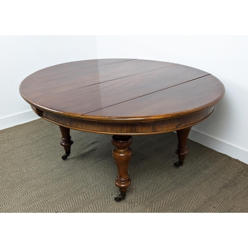 141 - DINING TABLE, Victorian mahogany with oval top and two extra leaves on brass castors, 74cm H x 136cm... 