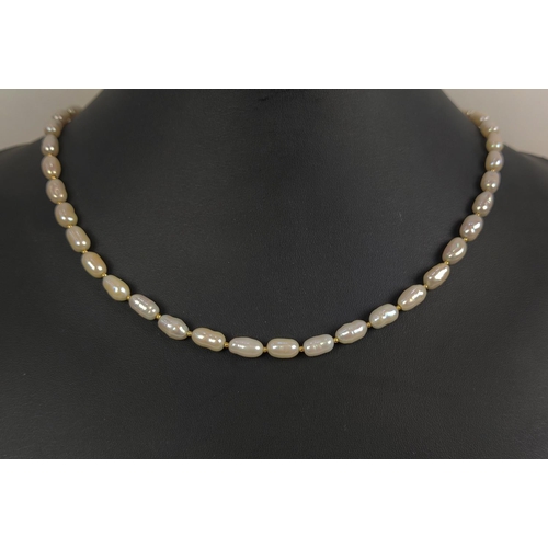 9 - A FRESHWATER PEARL SINGLE STRAND NECKLACE, the pearls of oblong form, with an 18ct gold clasp, 53cm ... 