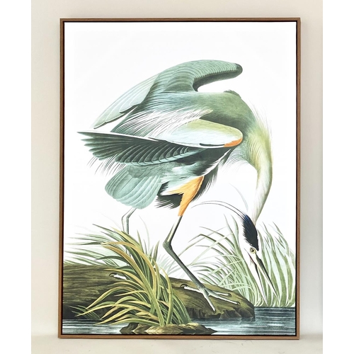 65 - AFTER JOHN JAMES AUDUBON PRINTS, a set of two, on canvas, 113cm H x 83cm. (2)