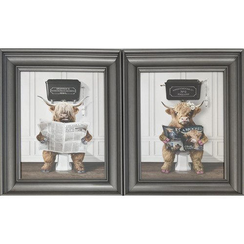 436 - CONTEMPORARY SCHOOL PRINTS, a set of two, of highland cows on lavatories, 76cm H x 56cm W. (2)