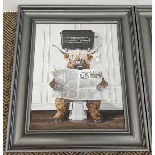 436 - CONTEMPORARY SCHOOL PRINTS, a set of two, of highland cows on lavatories, 76cm H x 56cm W. (2)