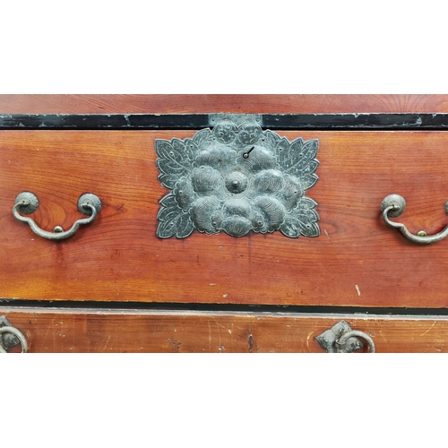 149 - JAPANESE CHEST, 19th century elm, firwood and iron mounted, with nine drawers and a door on large wo... 