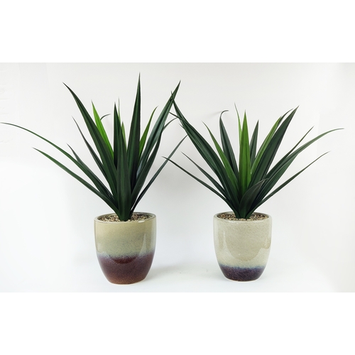 460 - FAUX ALOE VERA PLANTS, potted, 82cm H. (2)