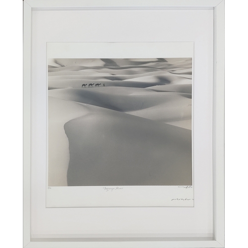 49 - TIM HALL, 'Dunes', silver gelatin toned prints, 52cm x 52cm, each signed and numbered, framed. (4)