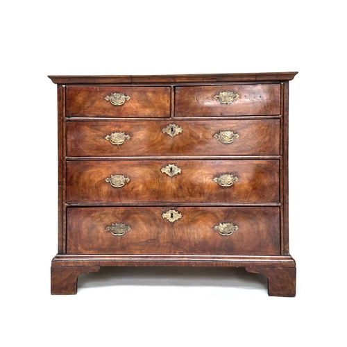 Lot 230       