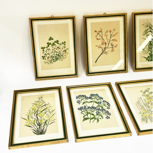 96 - BOTANICAL PRINTS, a set of nine, green and gilt framed, each 27cm x 20cm overall. (9)