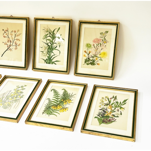 96 - BOTANICAL PRINTS, a set of nine, green and gilt framed, each 27cm x 20cm overall. (9)