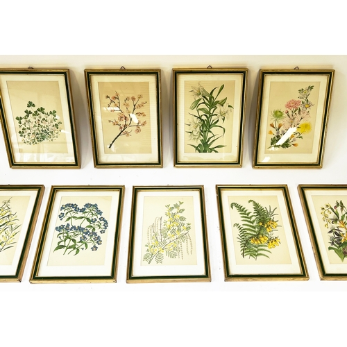 96 - BOTANICAL PRINTS, a set of nine, green and gilt framed, each 27cm x 20cm overall. (9)