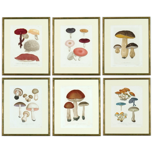 125 - JOSEPH ROQUES, Mushrooms, a set of six, engravings with hand colouring, Victor Masson et fils, 1864,... 