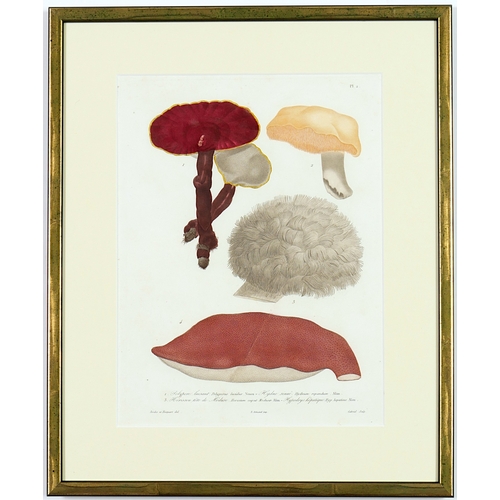 125 - JOSEPH ROQUES, Mushrooms, a set of six, engravings with hand colouring, Victor Masson et fils, 1864,... 