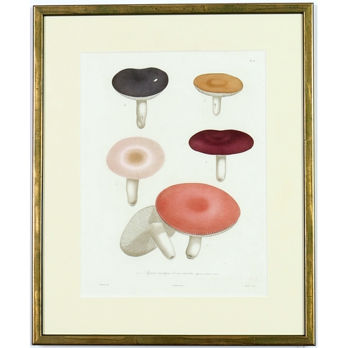 125 - JOSEPH ROQUES, Mushrooms, a set of six, engravings with hand colouring, Victor Masson et fils, 1864,... 