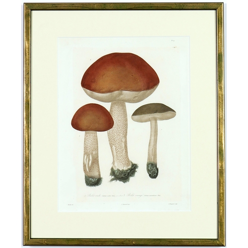 125 - JOSEPH ROQUES, Mushrooms, a set of six, engravings with hand colouring, Victor Masson et fils, 1864,... 