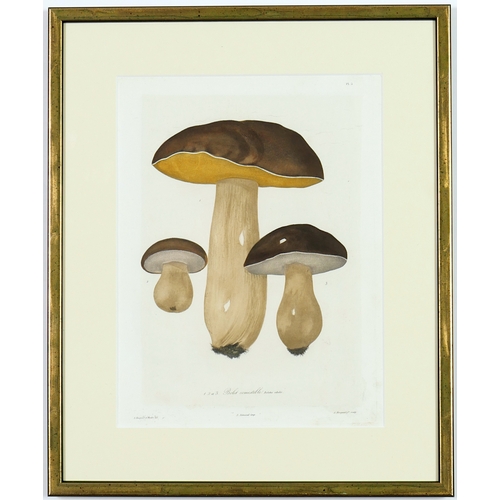 125 - JOSEPH ROQUES, Mushrooms, a set of six, engravings with hand colouring, Victor Masson et fils, 1864,... 